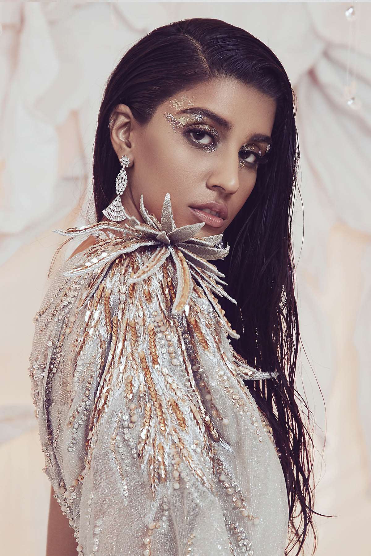 Veils of Stardust